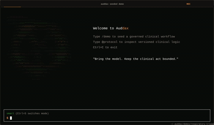 Animated Auddax seeded SDK workflow demo